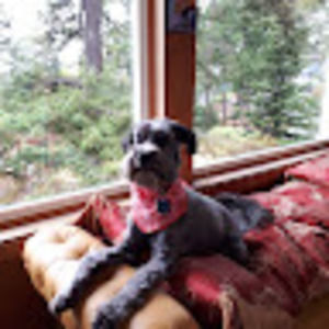 Meet your Posher, David